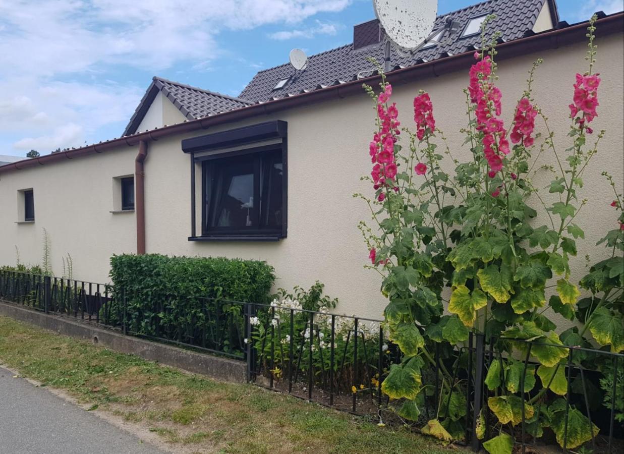 Ferienhaus An Der Ostsee レリク エクステリア 写真